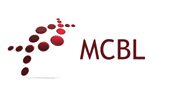 _images/Logo.jpg